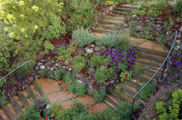 © 2022 Four Dimensions Landscape Company