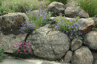 © 2022 Four Dimensions Landscape Company