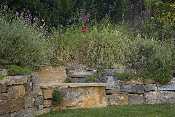 Ornamental grasses, stone bench and wall. Photo © Lee Anne White