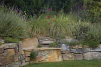 © 2022 Four Dimensions Landscape Company
