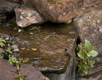 © 2022 Four Dimensions Landscape Company