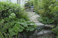 © 2022 Four Dimensions Landscape Company