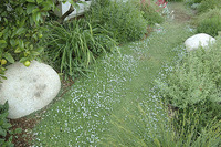 © 2022 Four Dimensions Landscape Company
