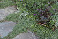 © 2022 Four Dimensions Landscape Company