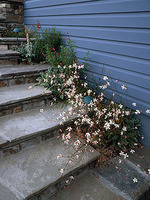 © 2022 Four Dimensions Landscape Company