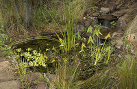 © 2022 Four Dimensions Landscape Company