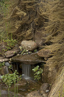 © 2022 Four Dimensions Landscape Company