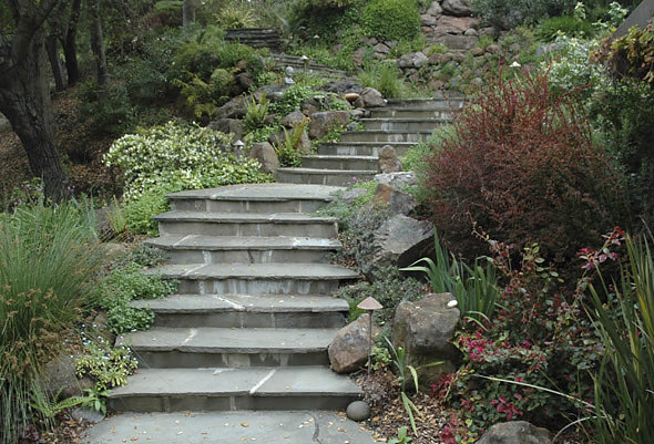 Stone steps and woodland planting. Photo © Michael Thilgen
