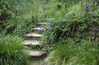 © 2022 Four Dimensions Landscape Company