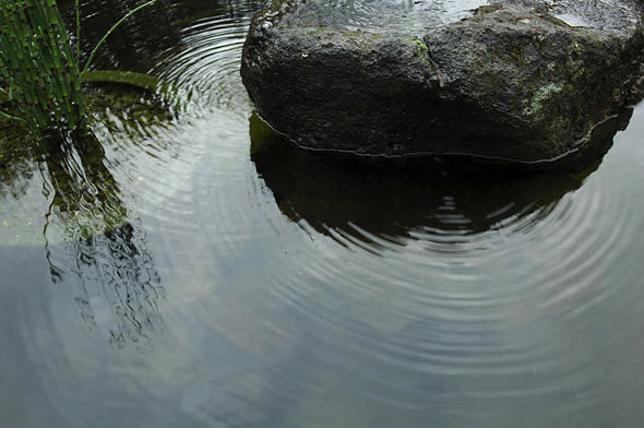 Stone and water. Photo © Michael Thilgen