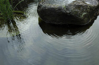 © 2022 Four Dimensions Landscape Company