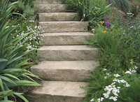 © 2022 Four Dimensions Landscape Company