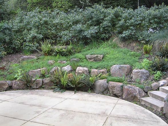 Concrete patio, stone wall, and native planting. Photo © Michael Thilgen