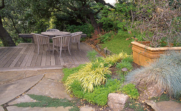 Wood deck and container planting. Photo © Michael Thilgen